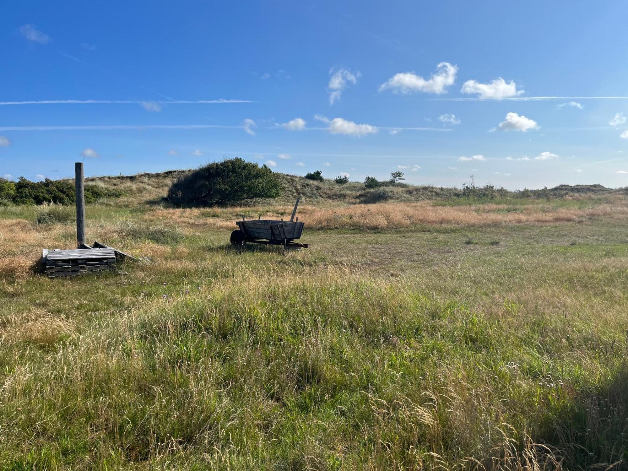 The Beach Farm - Charm, Beach And Stunning Nature Bedsted Thy Exterior foto
