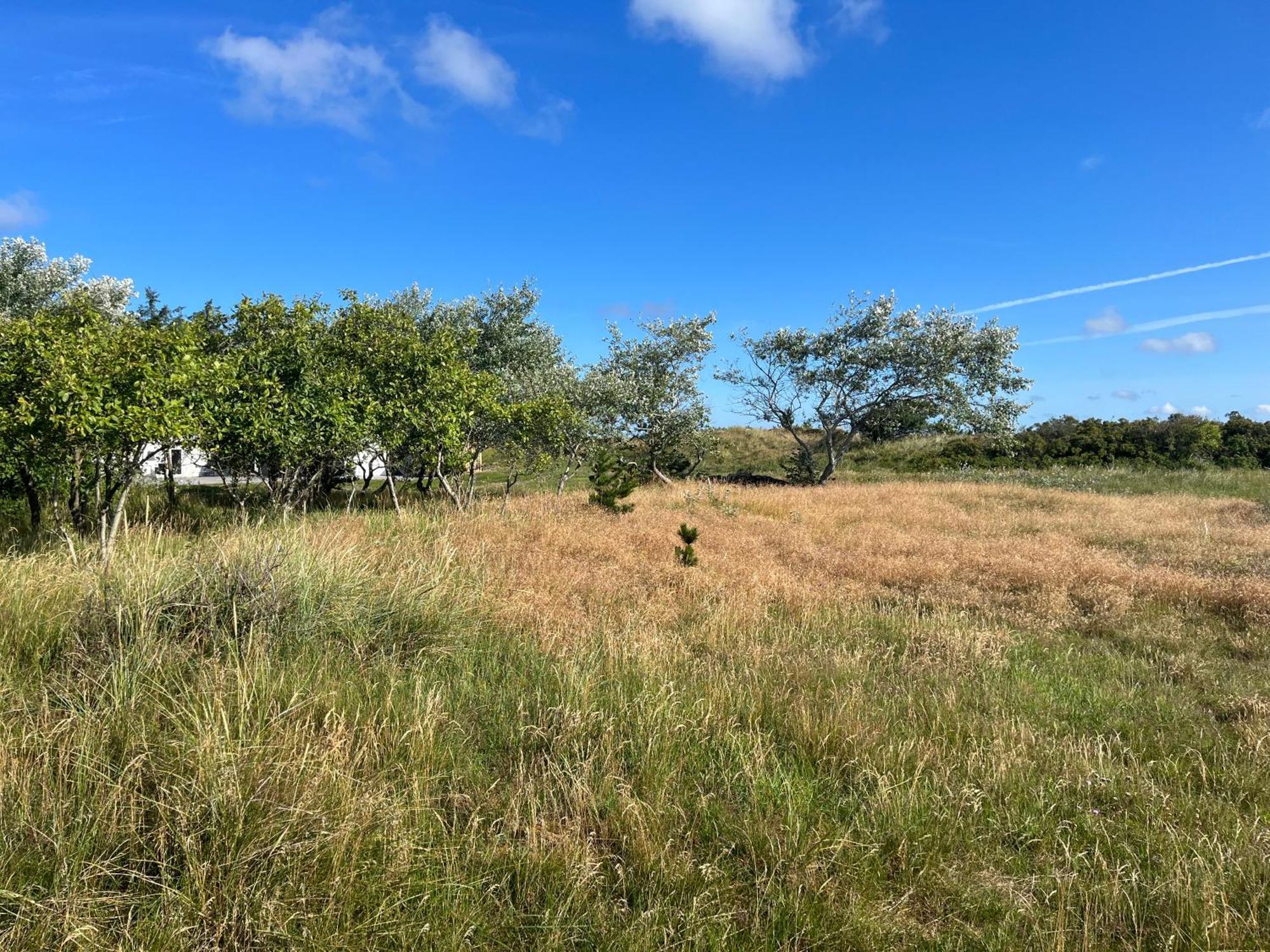 The Beach Farm - Charm, Beach And Stunning Nature Bedsted Thy Exterior foto