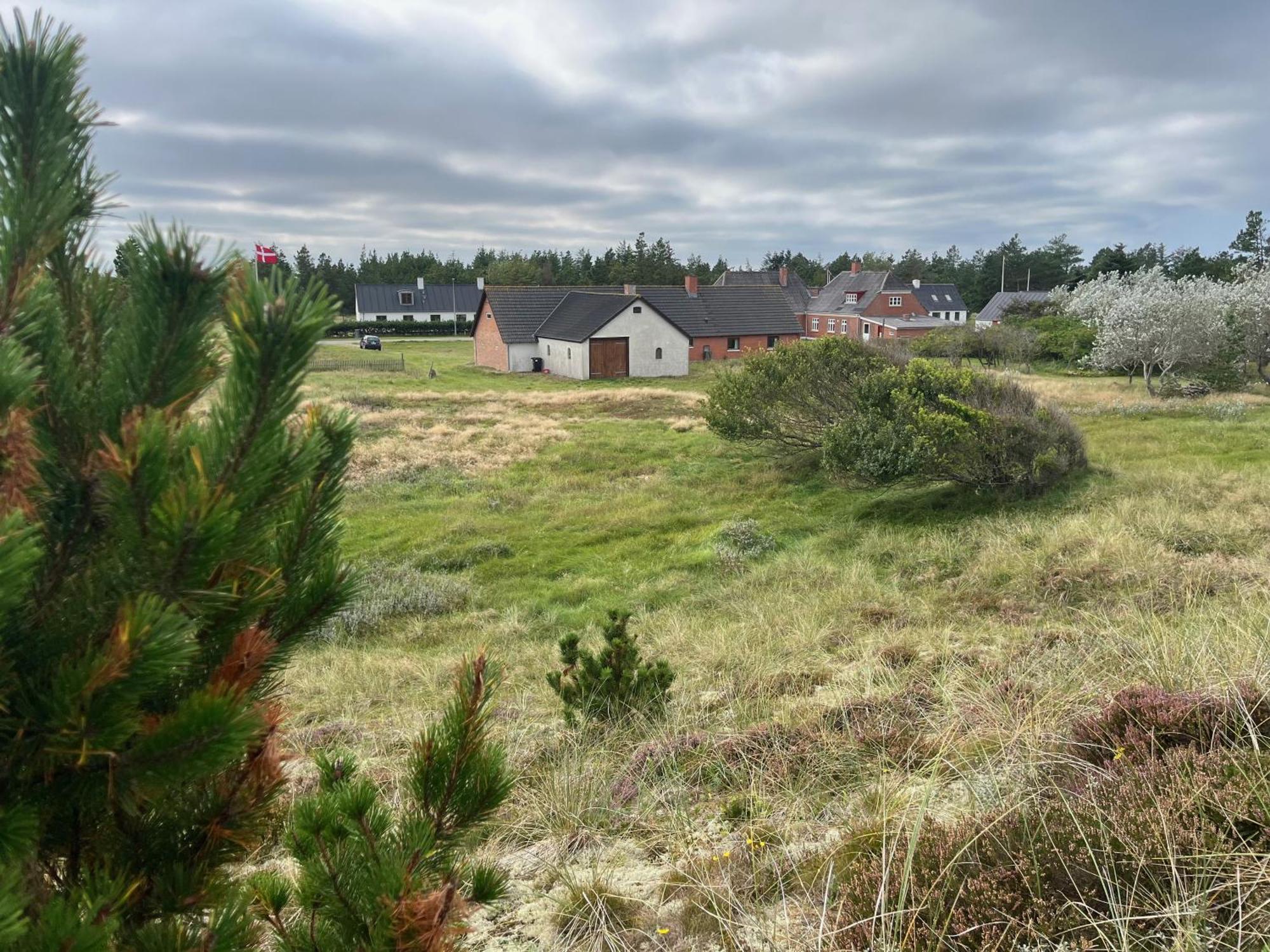 The Beach Farm - Charm, Beach And Stunning Nature Bedsted Thy Exterior foto