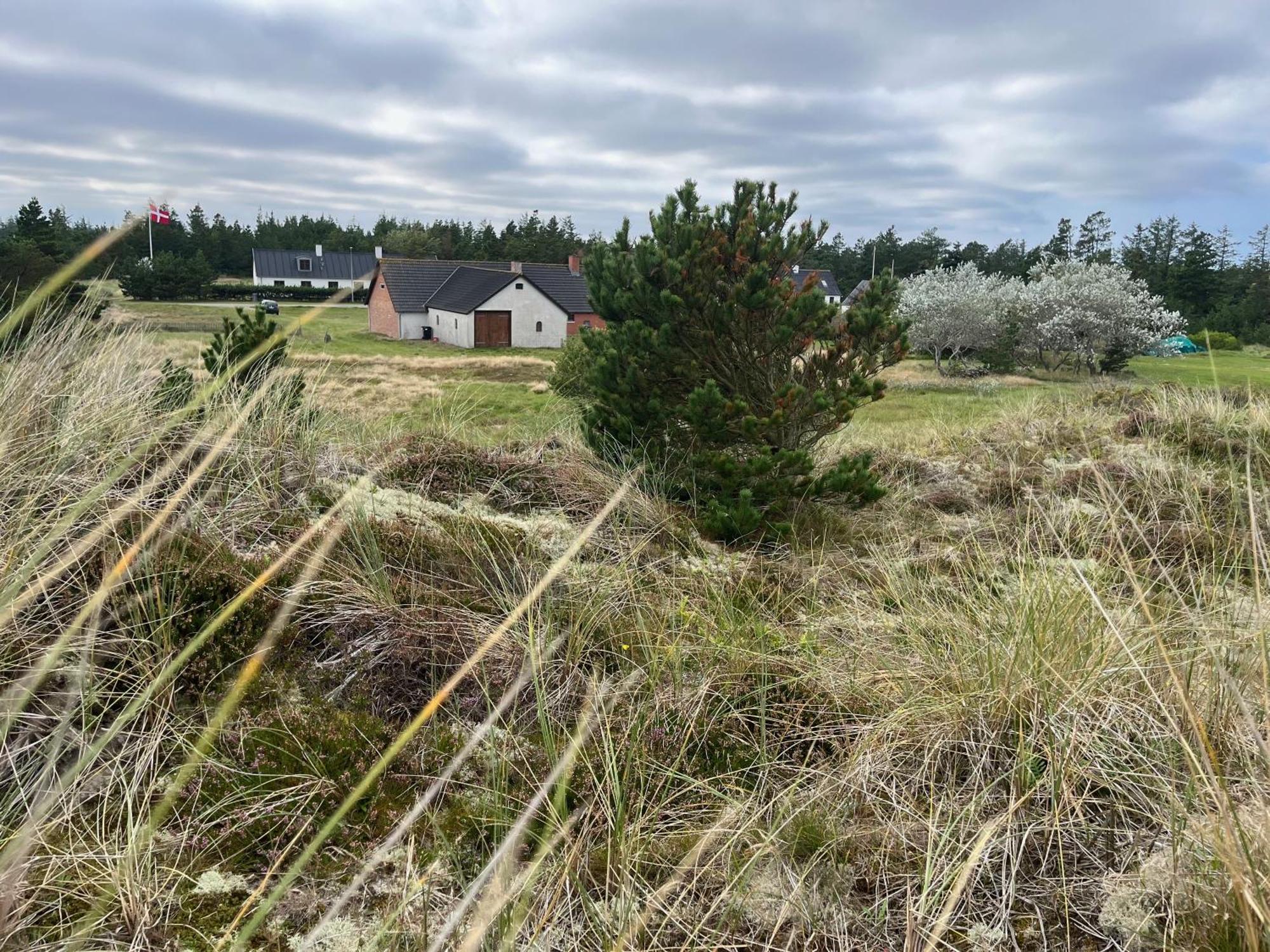 The Beach Farm - Charm, Beach And Stunning Nature Bedsted Thy Exterior foto
