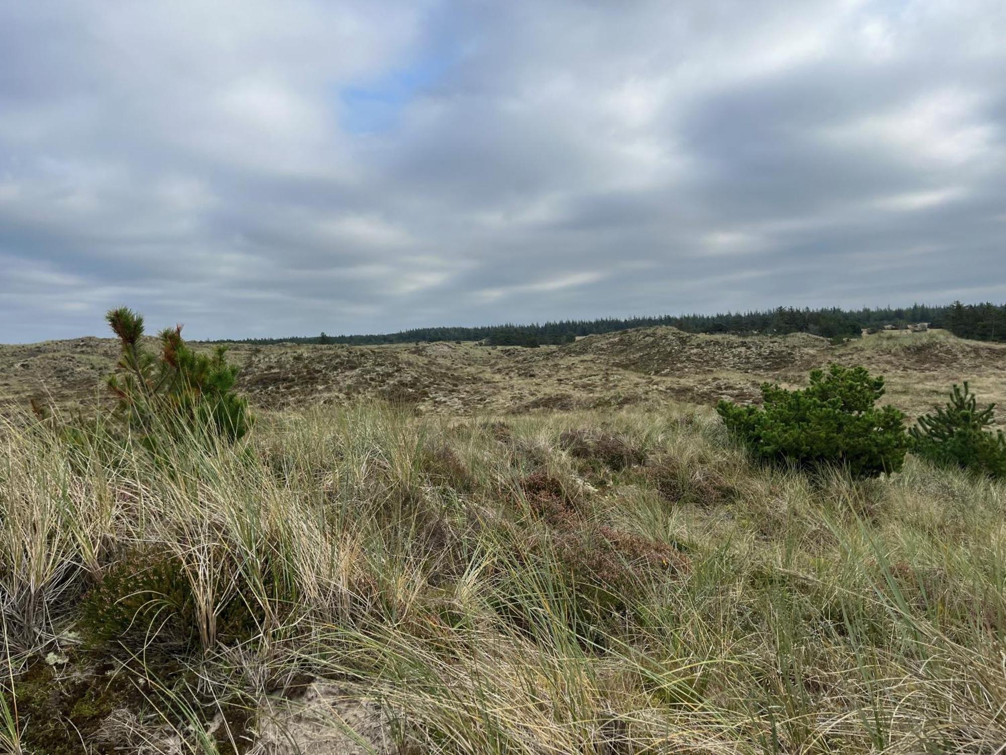 The Beach Farm - Charm, Beach And Stunning Nature Bedsted Thy Exterior foto