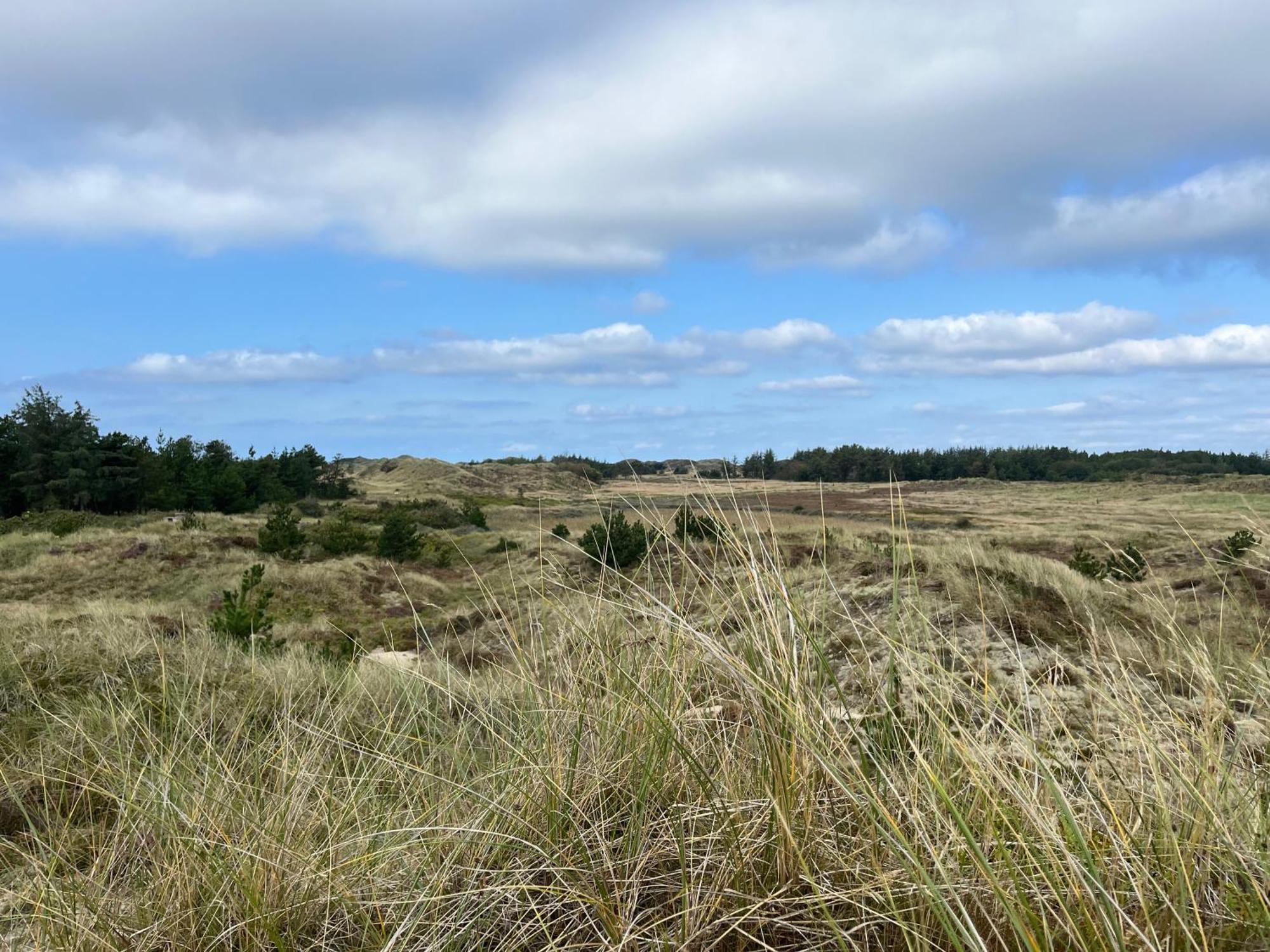 The Beach Farm - Charm, Beach And Stunning Nature Bedsted Thy Exterior foto