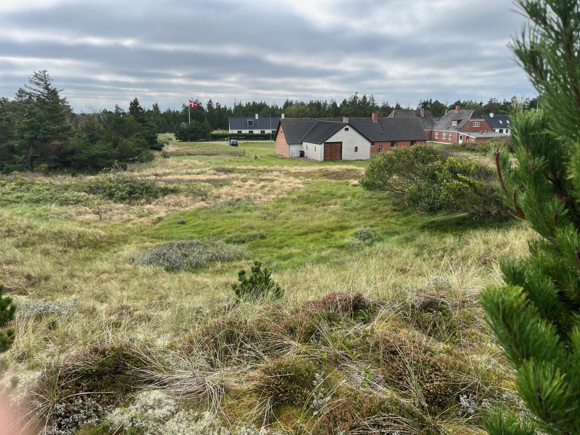 The Beach Farm - Charm, Beach And Stunning Nature Bedsted Thy Exterior foto