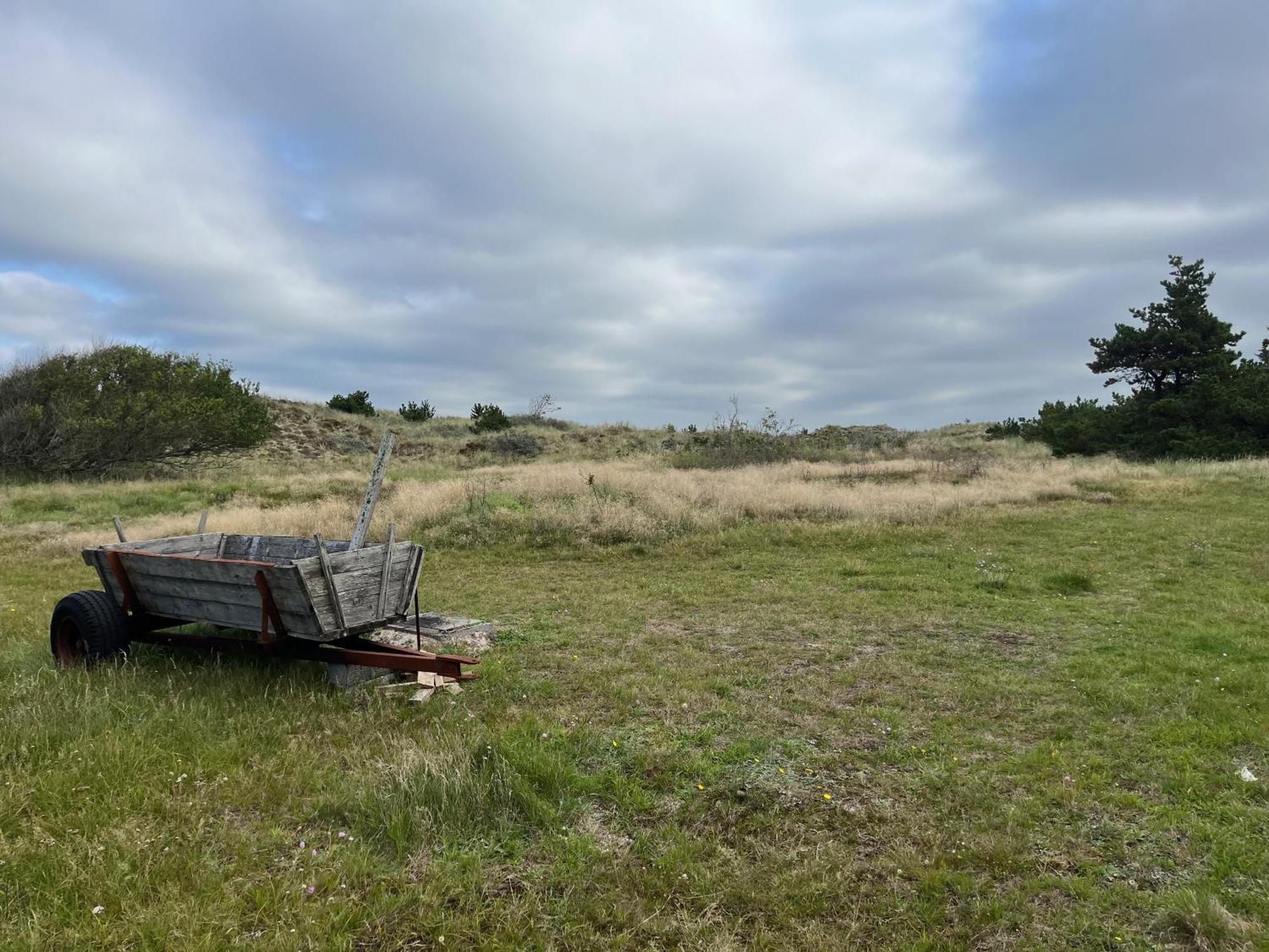 The Beach Farm - Charm, Beach And Stunning Nature Bedsted Thy Exterior foto