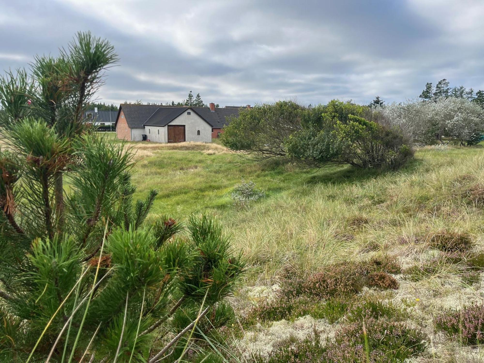 The Beach Farm - Charm, Beach And Stunning Nature Bedsted Thy Exterior foto