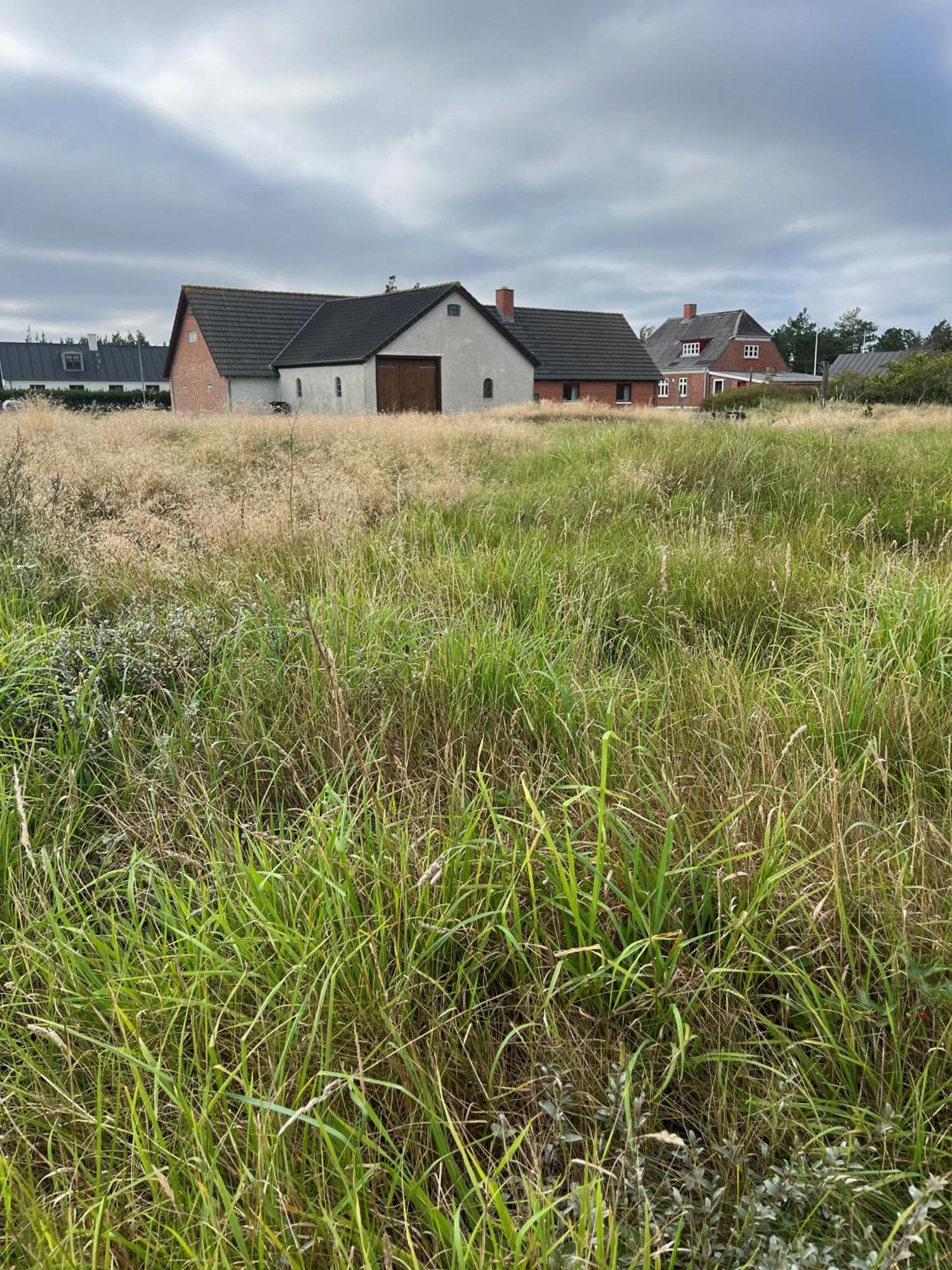 The Beach Farm - Charm, Beach And Stunning Nature Bedsted Thy Exterior foto